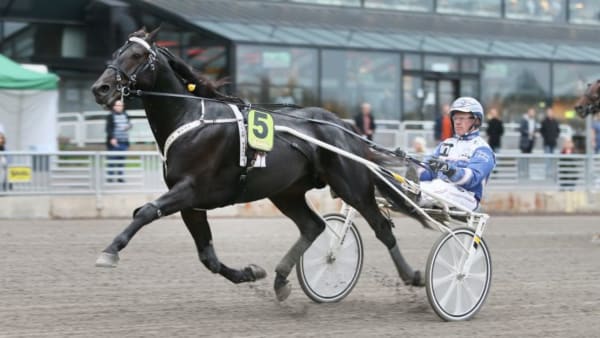 Foto: JEANNIE KARLSON