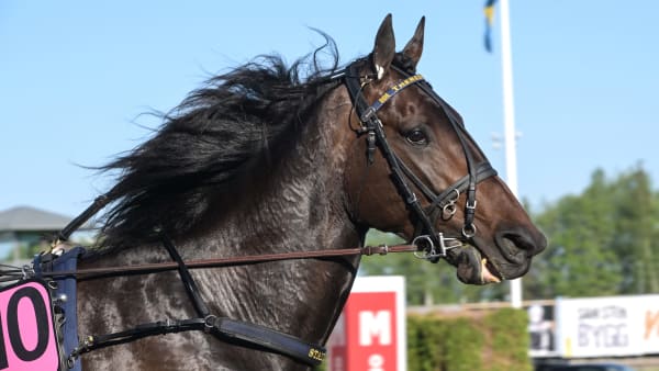 Foto: LARS JAKOBSSON / TR BILD