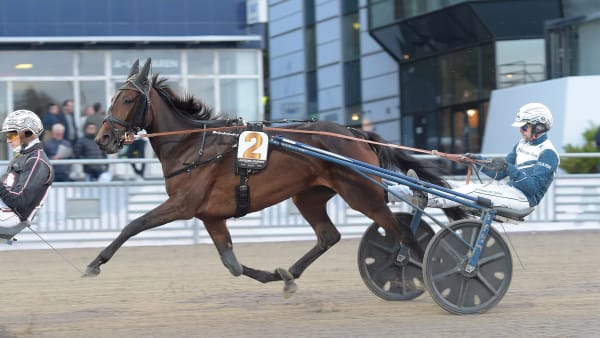 Foto: LARS JAKOBSSON / TR BILD