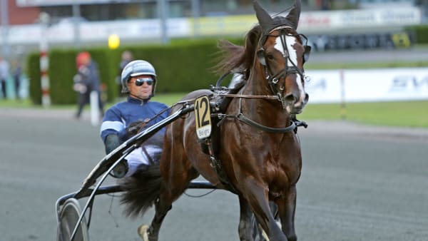 Foto: MATILDA ÖHRMAN / TR BILD