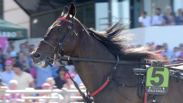 Foto: Lars Jakobsson/TR Bild