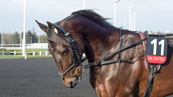 Foto: LARS JAKOBSSON / TR BILD