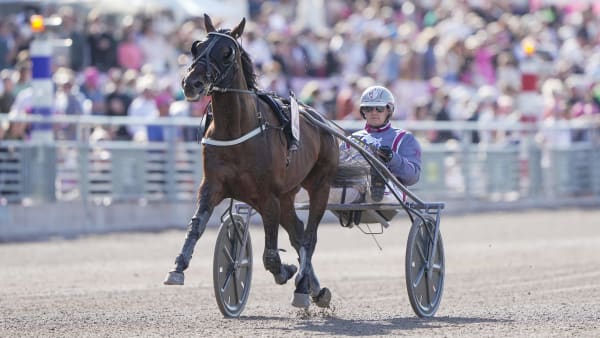 Foto: THOMAS BLOMQVIST / TR BILD