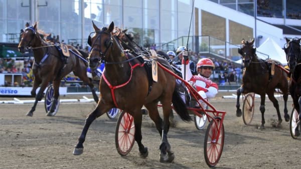 Foto: MIA TÖRNBERG/TRAVRONDEN