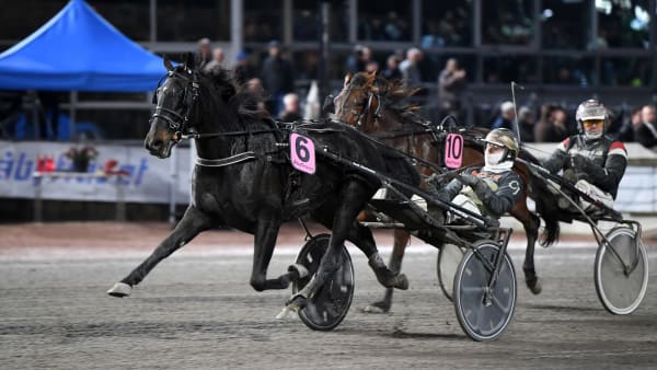 Foto: MALIN ALBINSSON / TR BILD