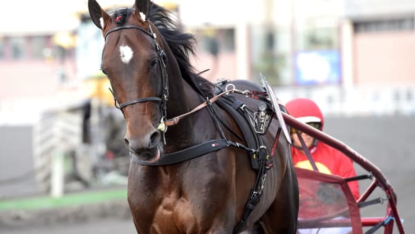 Foto: LARS JAKOBSSON / TR BILD