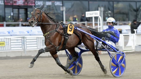 Foto: LARS JAKOBSSON / TR BILD