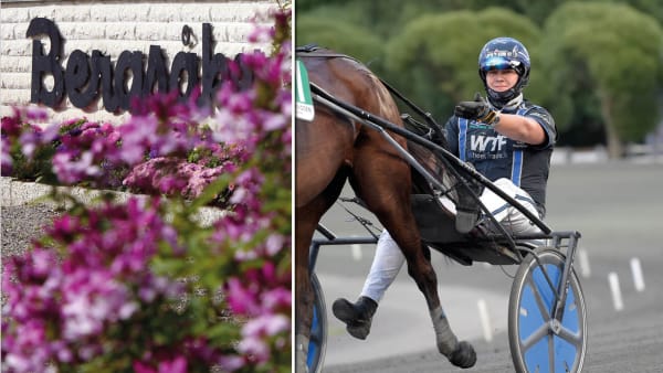 Foto: Mia Törnberg/Lars Jakobsson/TR BILD