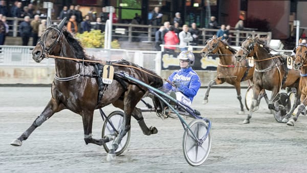 Foto: Tommy Andersson/ALN