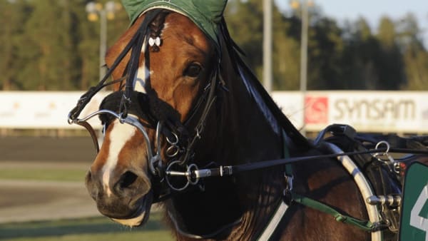 Foto: Christer Norin/ALN