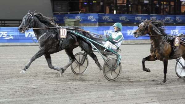 Foto: LEIF NORBERG/ALN