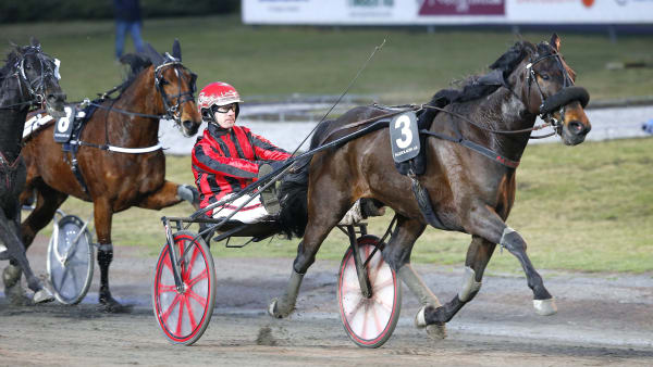 Foto: MICKE GUSTAFSSON / TR BILD