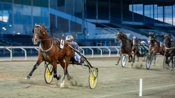 Foto: MIKAEL ROSENQUIST / TR BILD