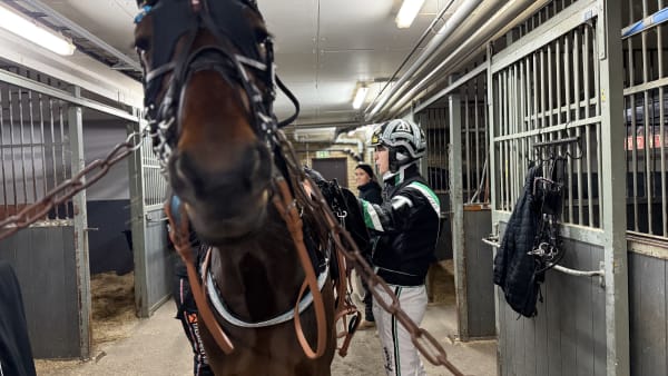 Foto: Rickard Hansson/TR BILD