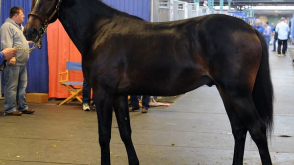 Foto: Stefan Melander/stalltz.se