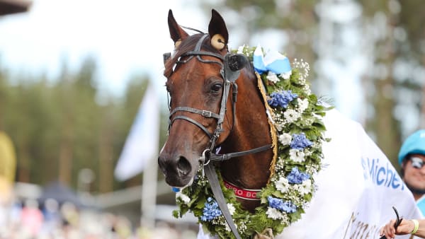 Foto: Kuvaaja Maisa Hyttinen/Suomen Hippos