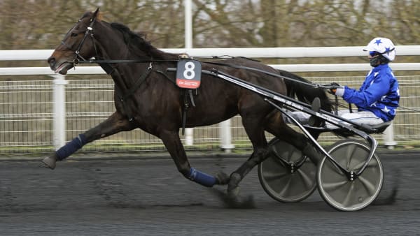Foto: Jean-Luc Lamaère | Le Trot