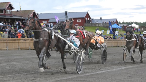 Foto: LARS JAKOBSSON / TR BILD