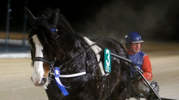 Foto: MICKE GUSTAFSSON/ALN