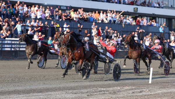 Foto: STEIN LARSEN/TRAV365.NO