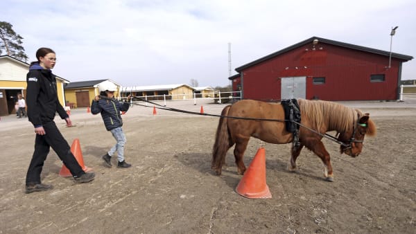 Foto: MARIA HOLMÉN / TR BILD