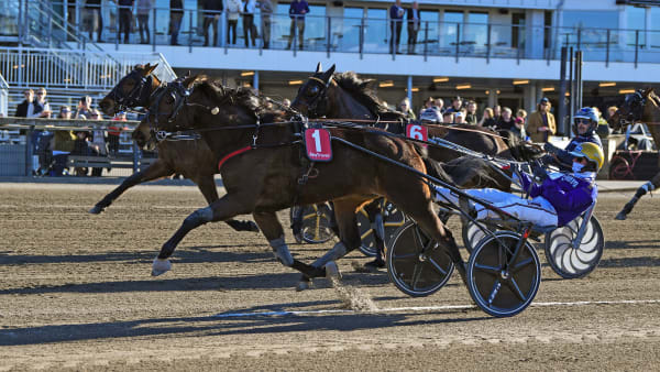 Foto: MALIN ALBINSSON / TR BILD