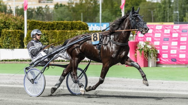 Foto: LENA EMMOTH / TR BILD