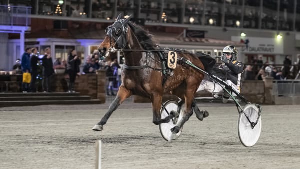 Foto: LENA EMMOTH/TR BILD