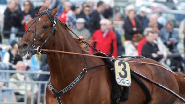 Foto: MICKE GUSTAFSSON/ALN