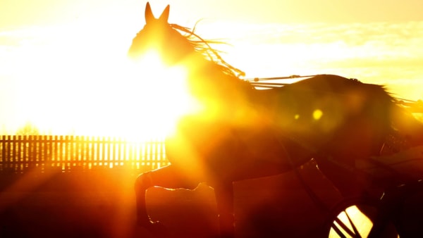 Foto: MARIA HOLMÉN/TR BILD