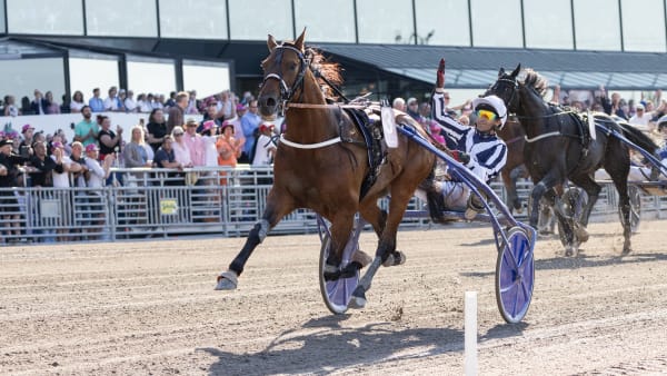 Foto: LENA EMMOTH / TR BILD