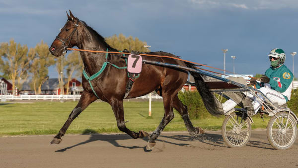 Foto: LENA EMMOTH / TR BILD