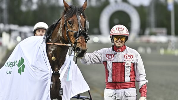 Foto: JENNY REHNMAN / TR BILD