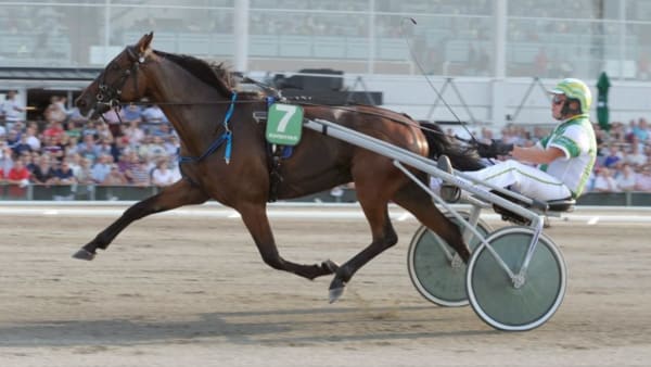 Foto: LEIF NORBERG/ALN