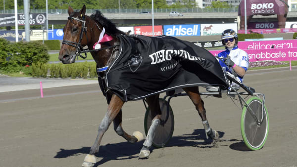 Foto: LARS JAKOBSSON / TR BILD