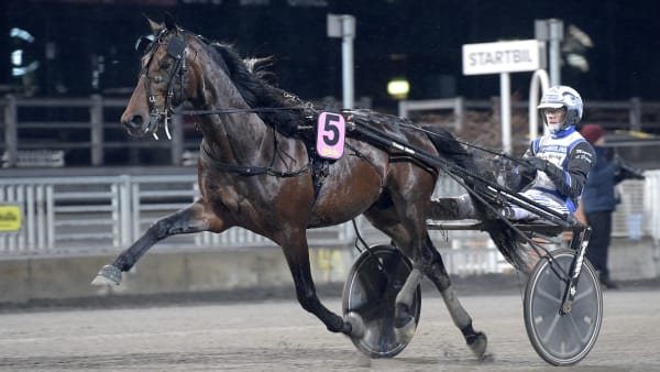 Foto: LARS JAKOBSSON / TR BILD