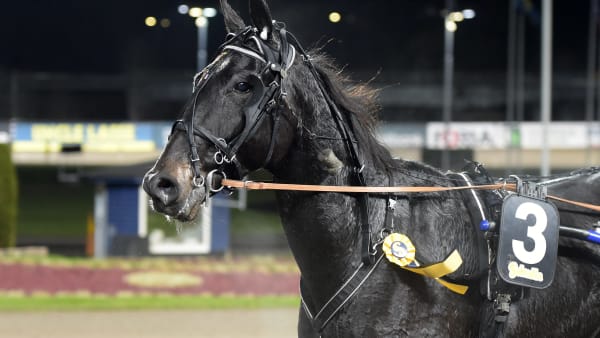 Foto: LARS JAKOBSSON / TR BILD