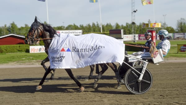 Foto: LARS JAKOBSSON / TR BILD