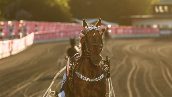 Foto: LENA EMMOTH/TR BILD