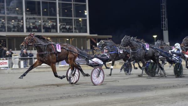 Foto: LARS JAKOBSSON / TR BILD