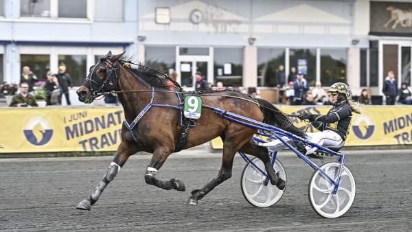 Foto: JENNY REHNMAN / TR BILD