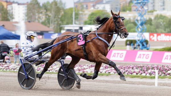 Foto: LENA EMMOTH / TR BILD