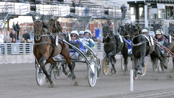 Foto: LARS JAKOBSSON / TR BILD