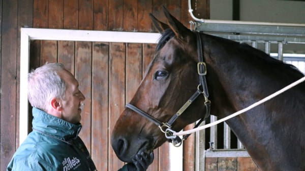 Foto: MIA NILSSON/TRAVRONDEN