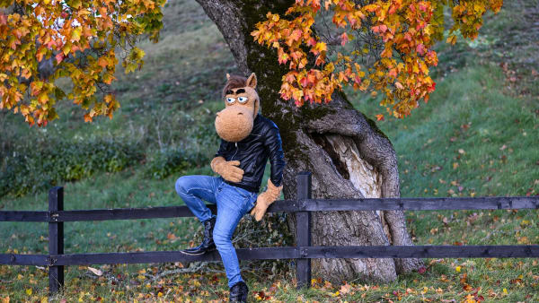 Foto: LARS JAKOBSSON / TR BILD