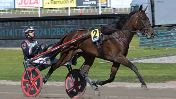 Foto: LARS JAKOBSSON / TR BILD