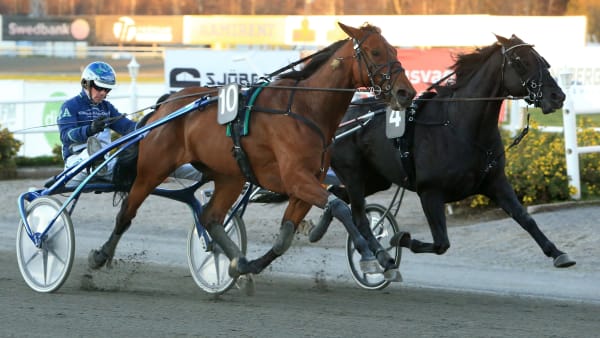 Foto: GIRLPOWER HB/TR BILD