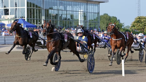 Foto: MATILDA ÖHRMAN / TR BILD