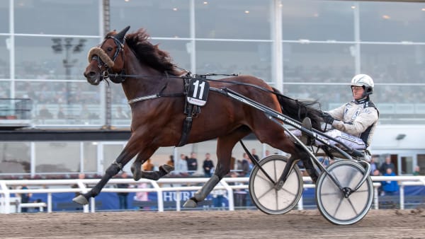 Foto: MIKAEL ROSENQUIST / TR BILD