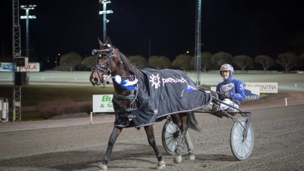 Foto: DAVID SCHREINER / TR BILD